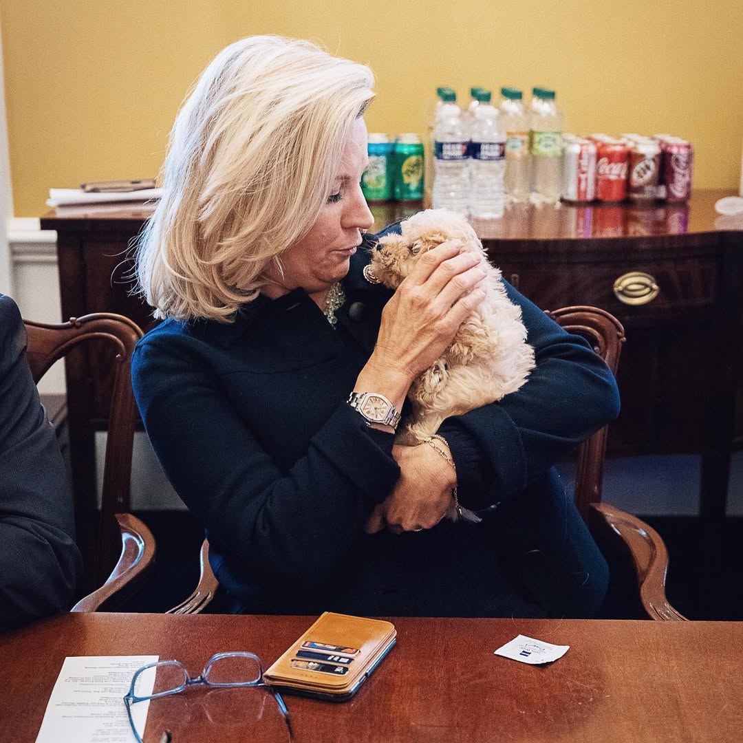 Liz Cheney Net Worth