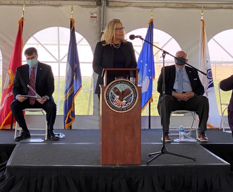 Liz Cheney Net Worth